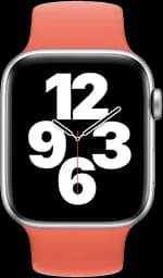 Apple Watch SE (1st generation)